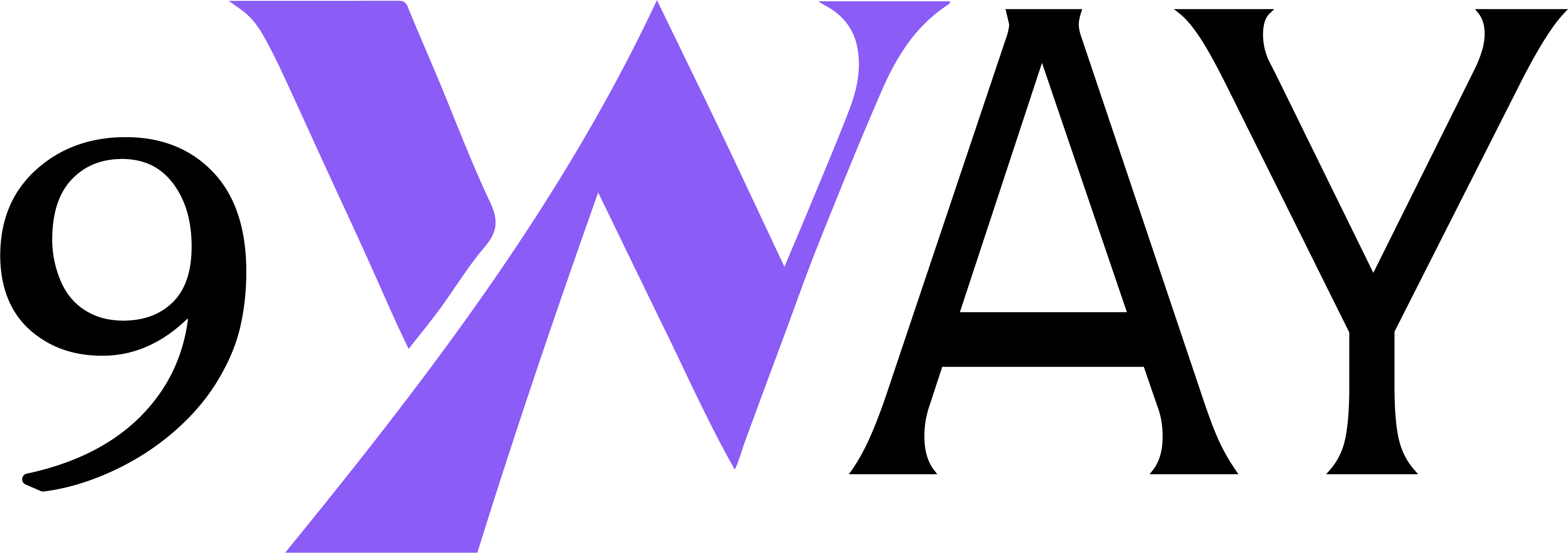 9WAY