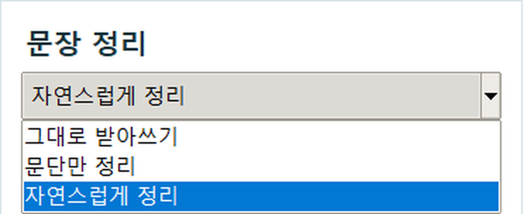 말로 문장 정리 방식 선택 목록 — 그대로 받아쓰기, 문단만 정리, 자연스럽게 정리 세 가지